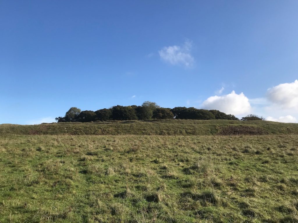 Badbury Rings, near Wimborne, Dorset