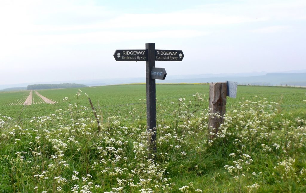 It's always a joy to be on the ancient Ridgeway