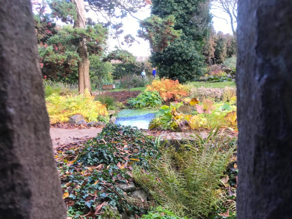 St Andrew's Well seen from a gap in the wall from the grounds of the cathedral