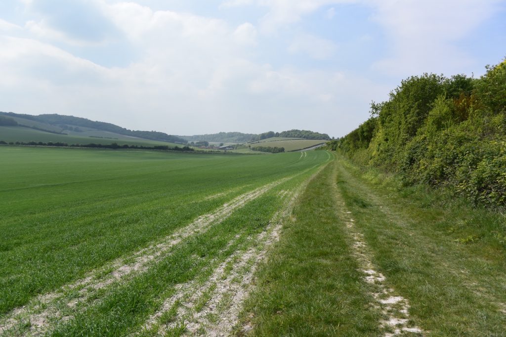 On a footpath heading west from Moulsford, Oxfordshire. Moulsford Bottom is on the left and Kingstanding Hill is ahead.