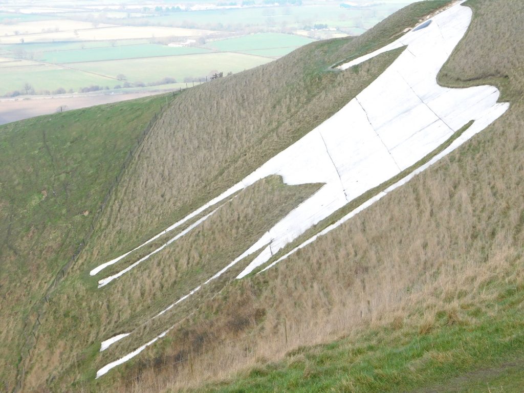 The White Horse above Westbury, Wiltshire.
