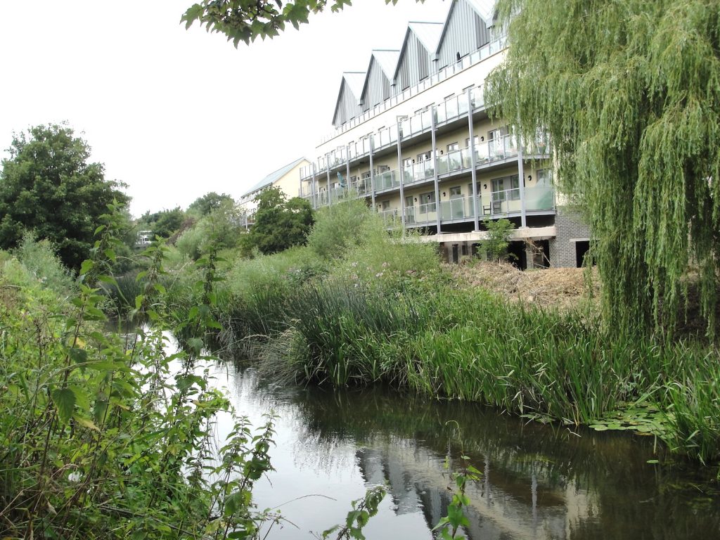 Chippenham, Wiltshire. Looking across the River Avon from the west bank.