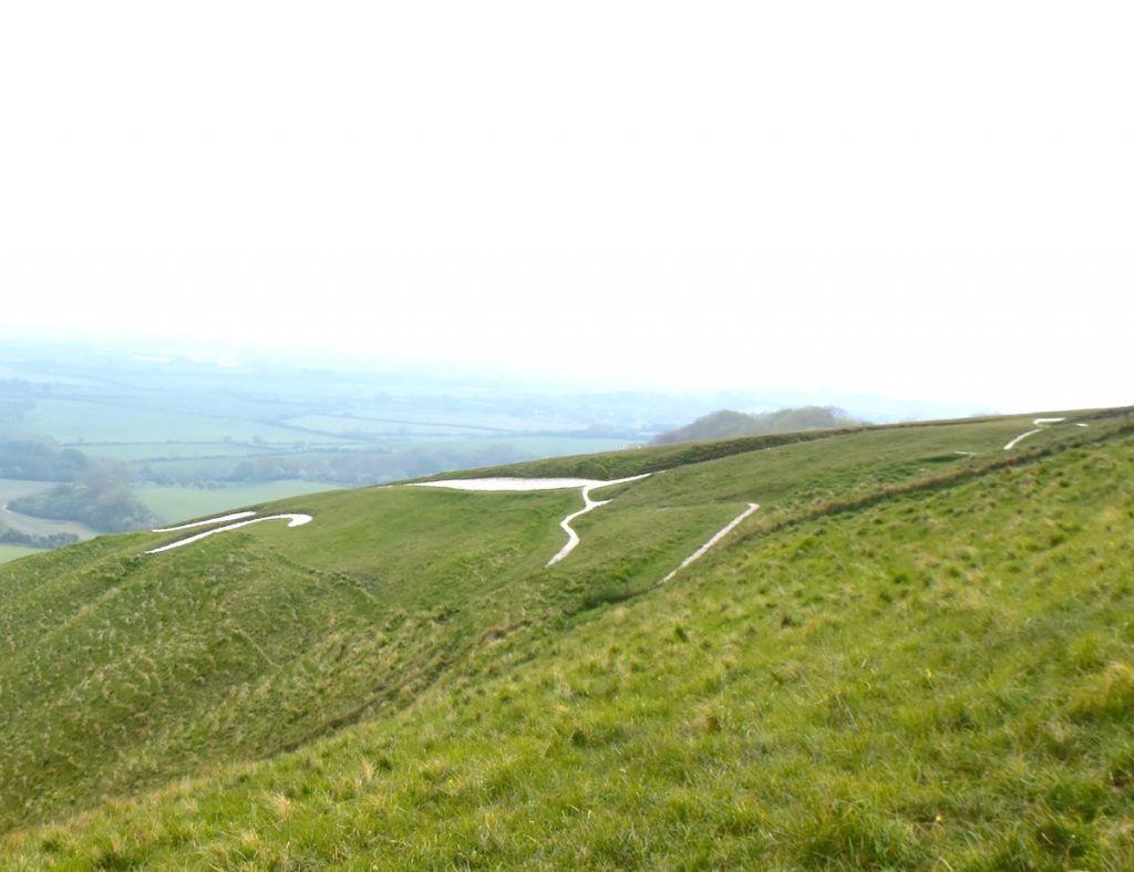 The best view of the Uffington White Horse, Oxfordshire, that I could obtain from ground level