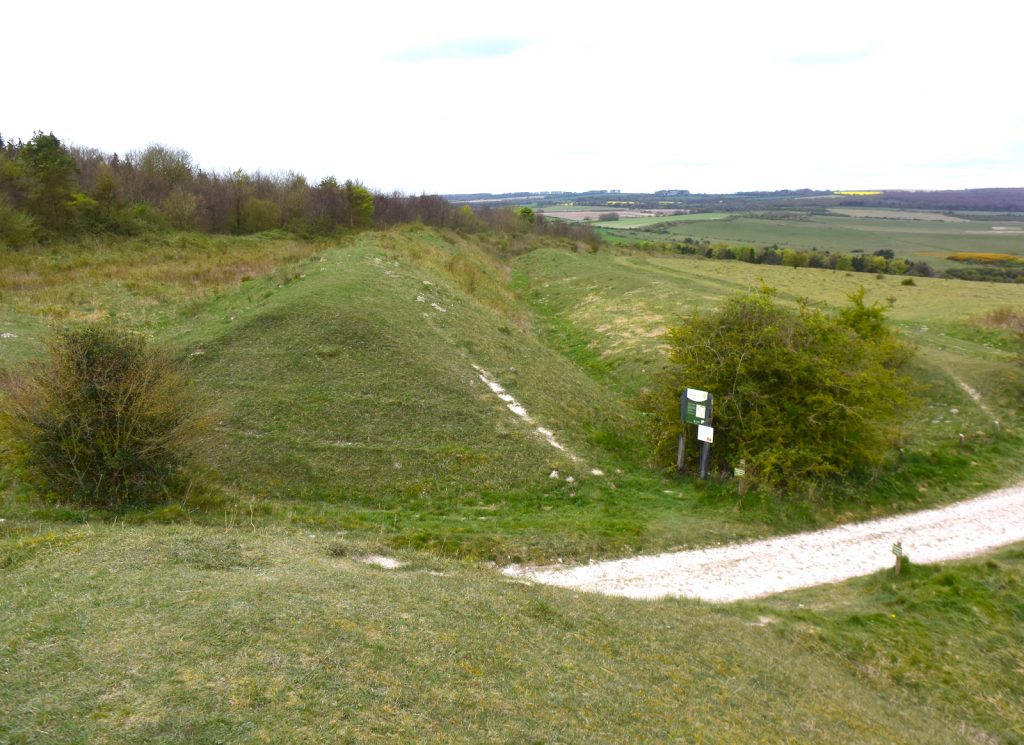 Bokerley Ditch, Martin Down, Hampshire.