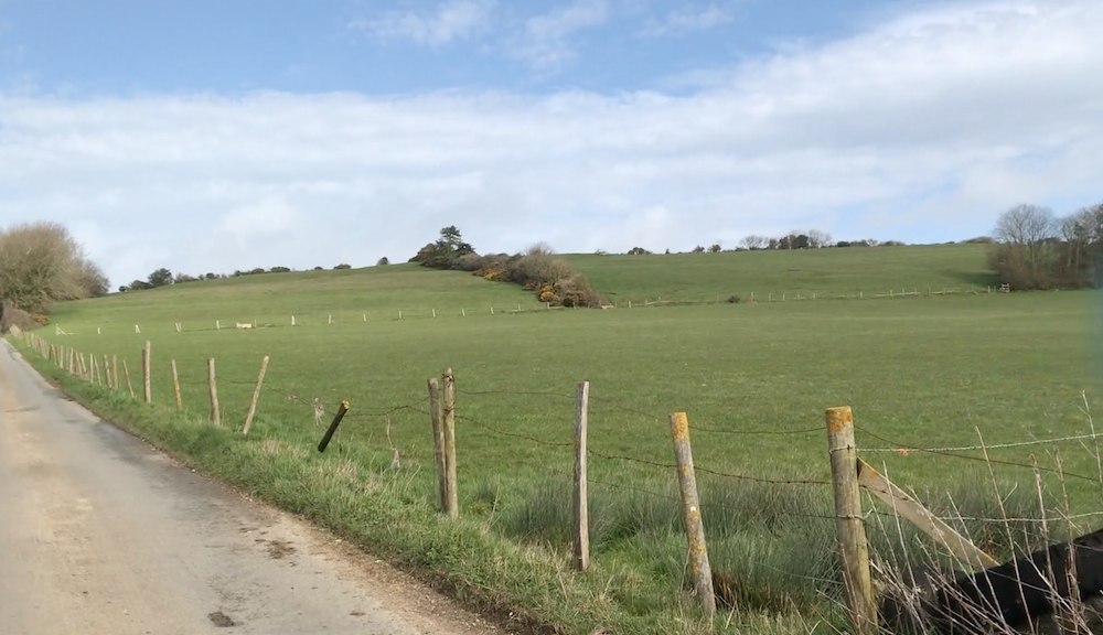 Bredy North Hill, Dorset