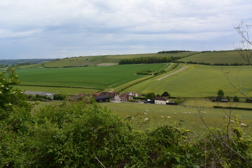 On Kingstanding Hill, a candidate for the site of the Battle of Ashdown, looking north over Starveall Farm and Moulsford Bottom, across to Moulsford Downs.