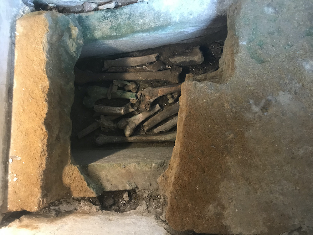 Bones Sherborne Abbey, Dorset