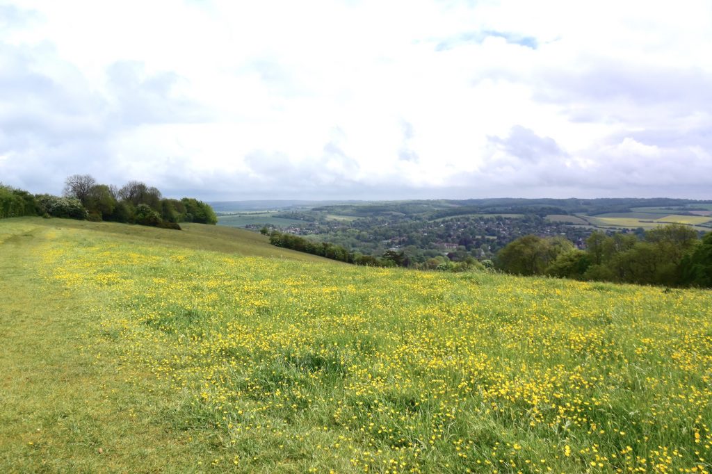 The beautiful Lardons Chase. Great views to be had across the Thames Valley, Streatley and Goring.