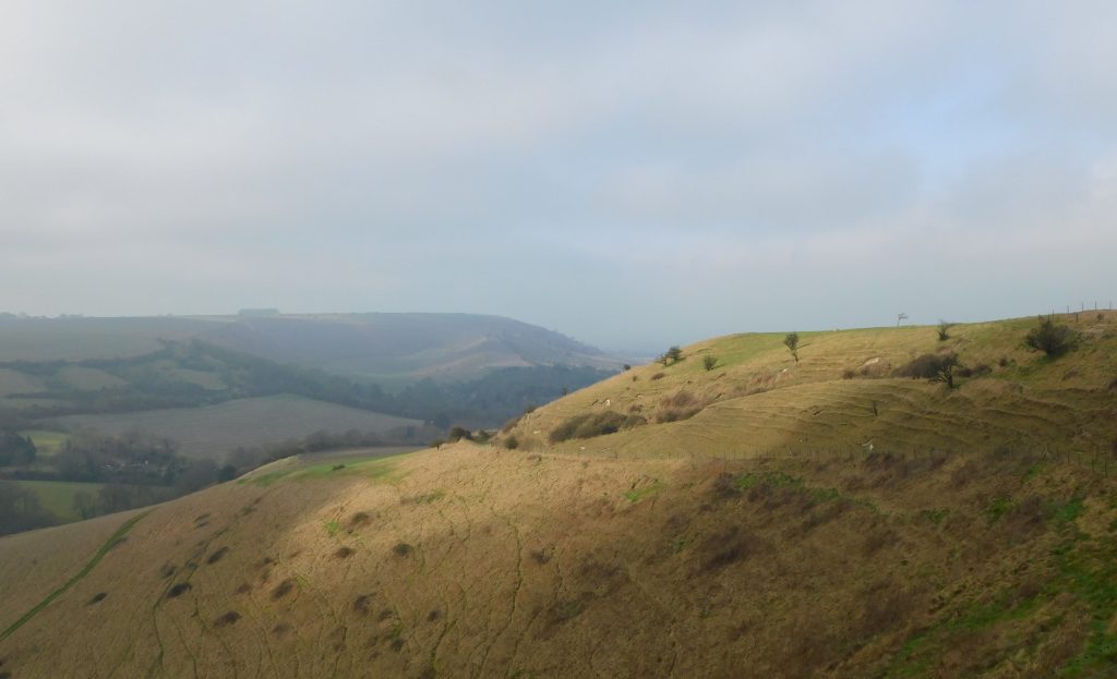 Looking north to Picquet Hill (on the right), Wiltshire. Edington is down over the other side.