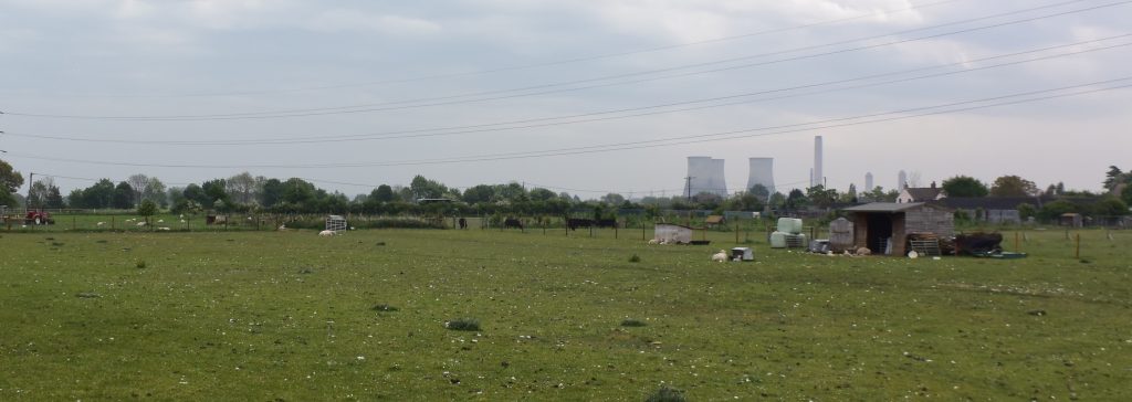 Drayton, near Sutton Courtenay. Imagine a huge Anglo-Saxon great hall in these fields! Didcot power station in the distance (August 2019 = no more).